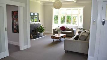 Smart TV, fireplace, books