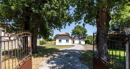 Maison Ă  deux pas du port