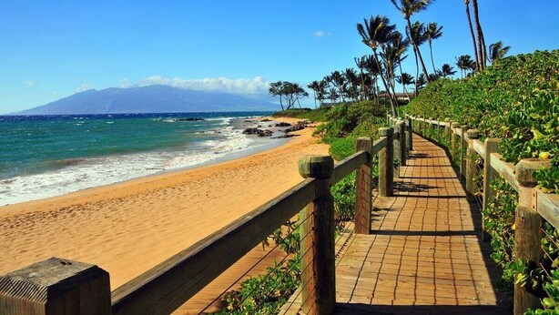 A wooden boardwalk leading to a sandy beach with palm trees and a mountain in the background.