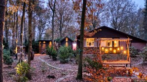 Un rustico chalet con un sentiero di pietra che vi conduce, circondato da alberi e foglie autunnali.