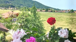 A rural landscape with a house, a field, and a mountain in the background. - Apartment 50 sqm with separate bedroom and balcony (Aschau im Chiemgau)