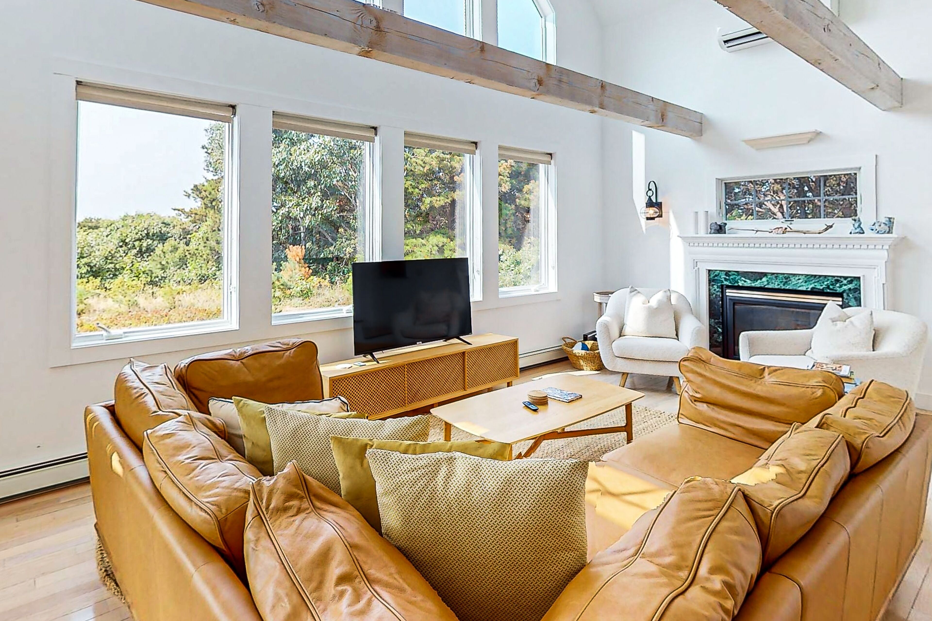 TV, fireplace, ping pong