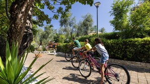A paved pathway with bicycles, surrounded by greenery and a lamp post. - Farmhouse in Vieste Near Gargano Park (Vieste)