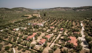 An aerial view of a residential area with houses surrounded by olive groves, featuring a central road and scattered buildings. - Farmhouse in Vieste Near Gargano Park (Vieste)