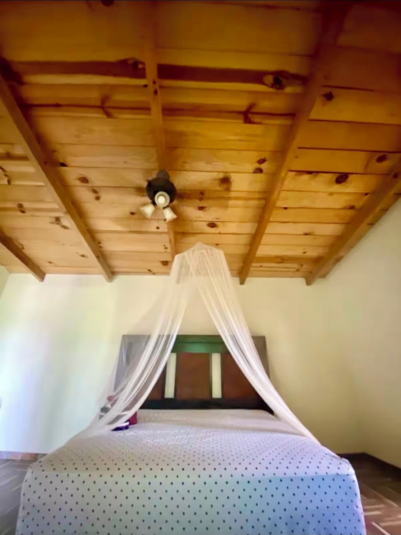 A room with a wooden ceiling, a bed with a white canopy, and a ceiling fan.