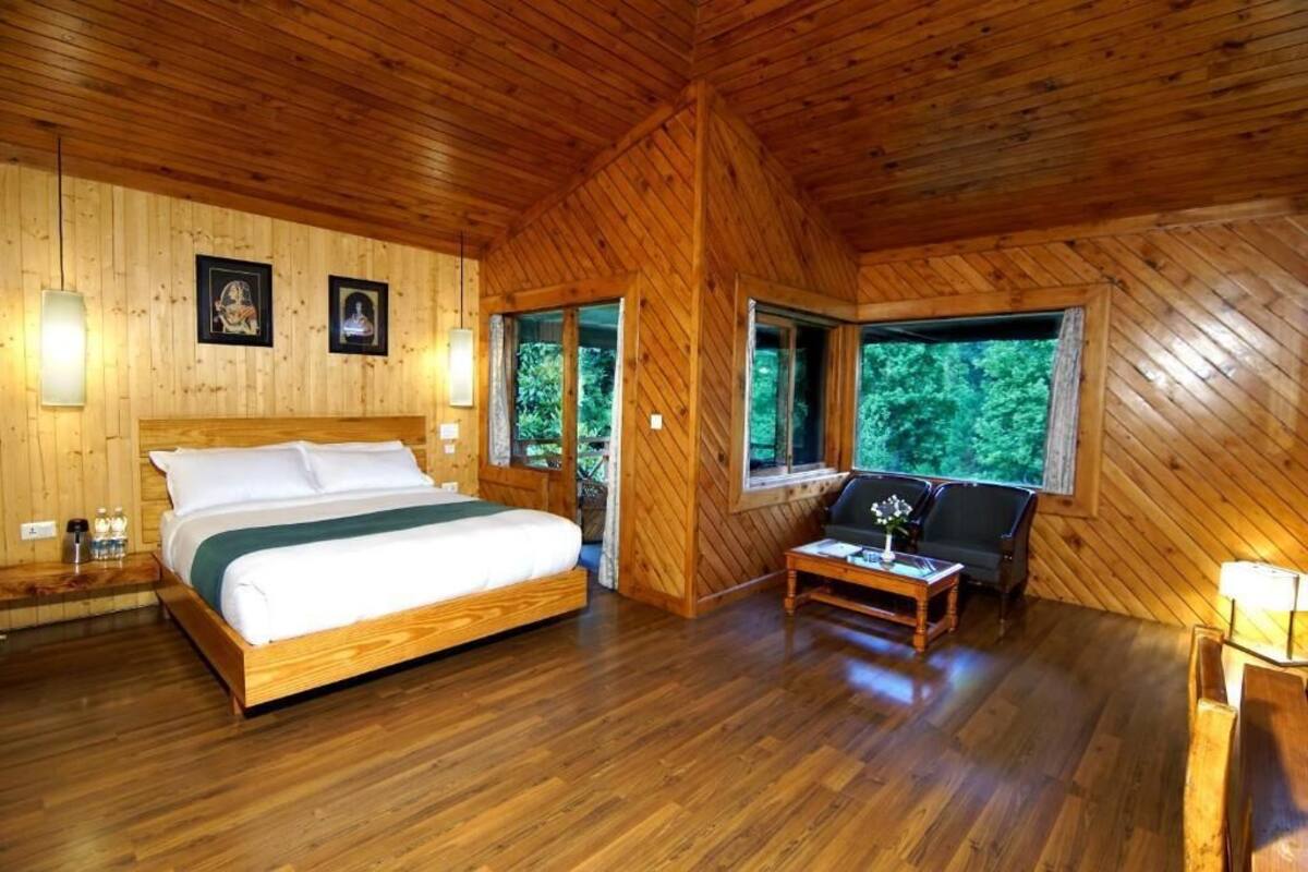 A wooden cabin room with a bed, a sofa, and a window with a view of greenery.