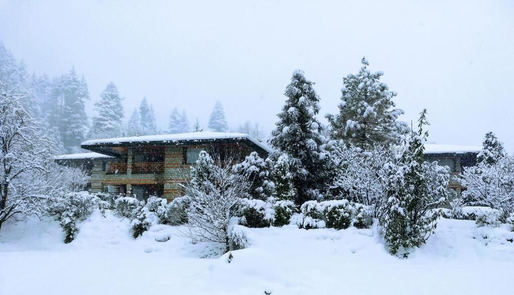 Une cabane en rondins dont le toit est recouvert de neige, entourée d’arbres et d’arbustes chargés de neige.