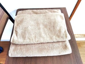 Economy Apartment | Room amenity - Nissho House 105 (Sapporo)