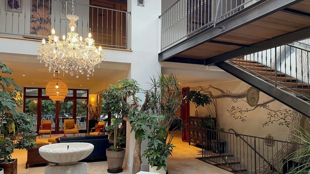 Un vestíbulo amplio con candelabro, zona de estar, escalera y plantas en macetas.