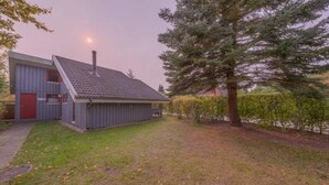 A single-story building with a sloped roof, a red door, and a chimney. - Ferienhaus im Ferienpark Mirow (Mirow)
