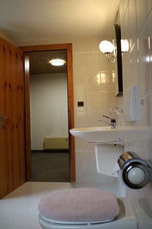 Douche, sèche-cheveux, serviettes fournies, papier toilette