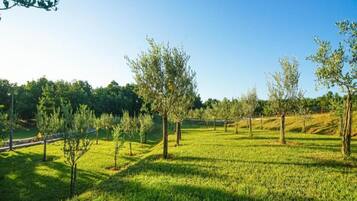 Villa | Property grounds