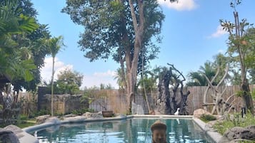 Piscina all'aperto