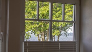 Una ventana con vistas a árboles y agua.