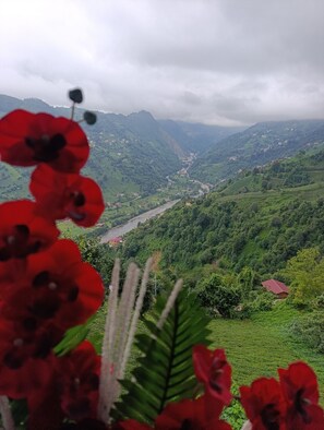 View from room - Seyri Alem Suite Bungalow (Ardesen)