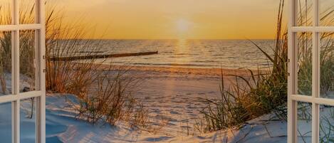 House | Interior detail