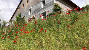A large, rustic barn-like building with a sloped roof and multiple windows. - Rural cottage in Vosges, 6 pers., WiFi, parking, bikes welcome (Fresse-sur-Moselle)
