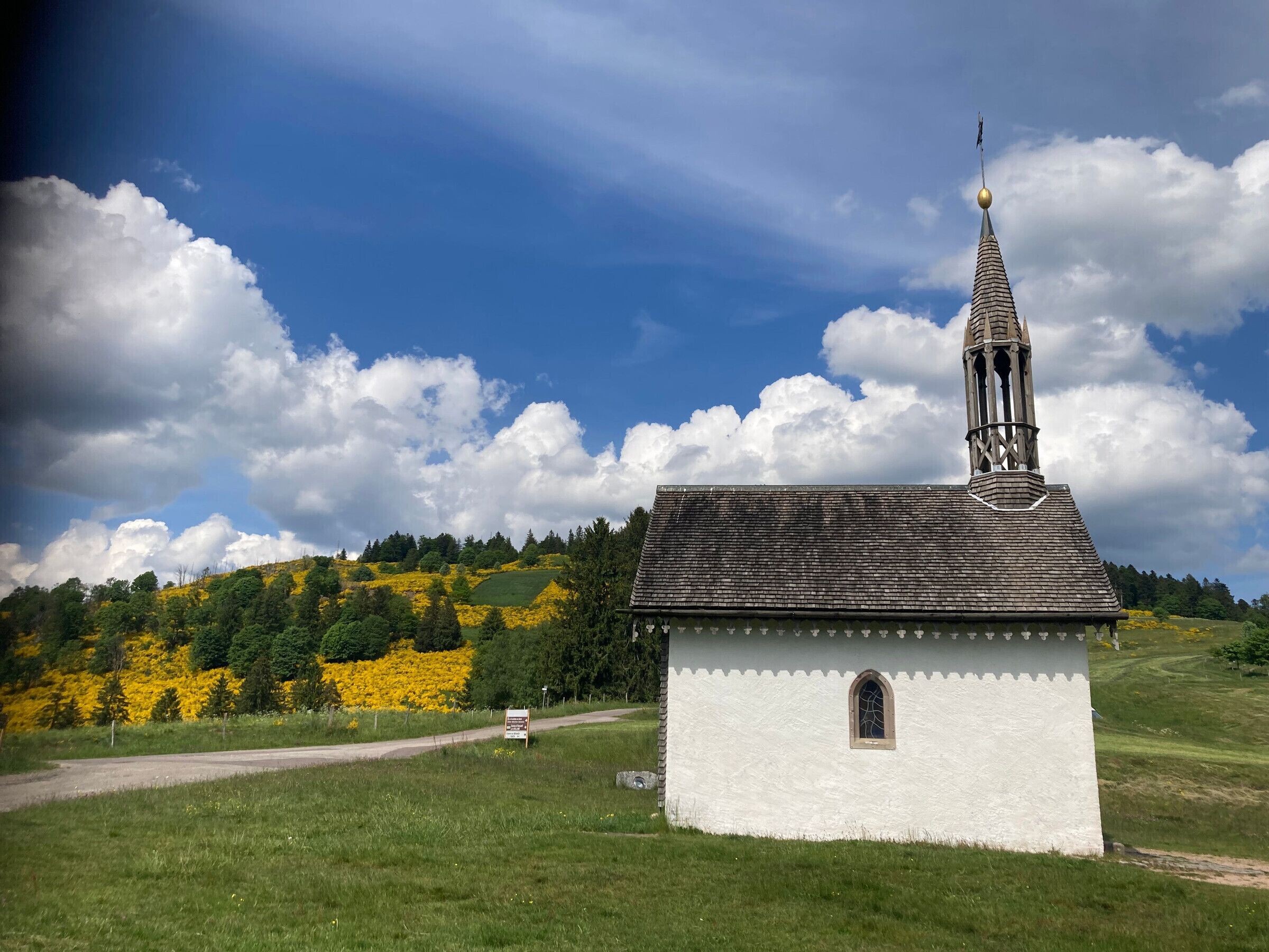Uma pequena igreja branca com um campanário alto e uma torre do relógio, emoldurada por uma paisagem verde e flores amarelas.