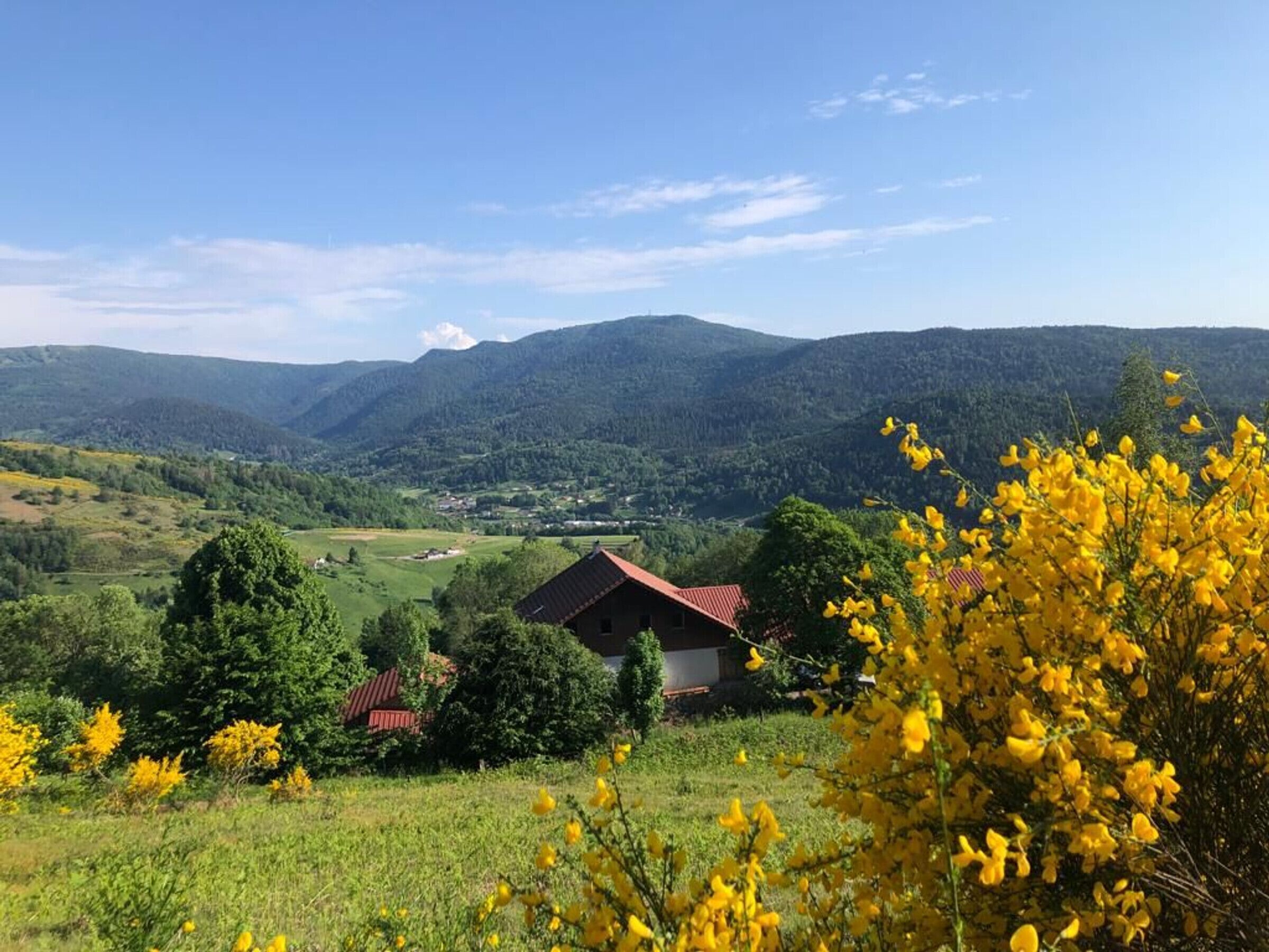 Ländliche Landschaft mit einem Haus, umgeben von viel Grün und Bergen im Hintergrund.