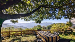 Een terras met een tafel en stoelen onder een boom, met uitzicht op een bergachtig landschap.