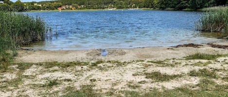 A lake with a sandy shore and surrounding greenery.