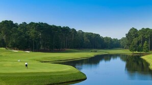 A golf course with a pond and a golfer.