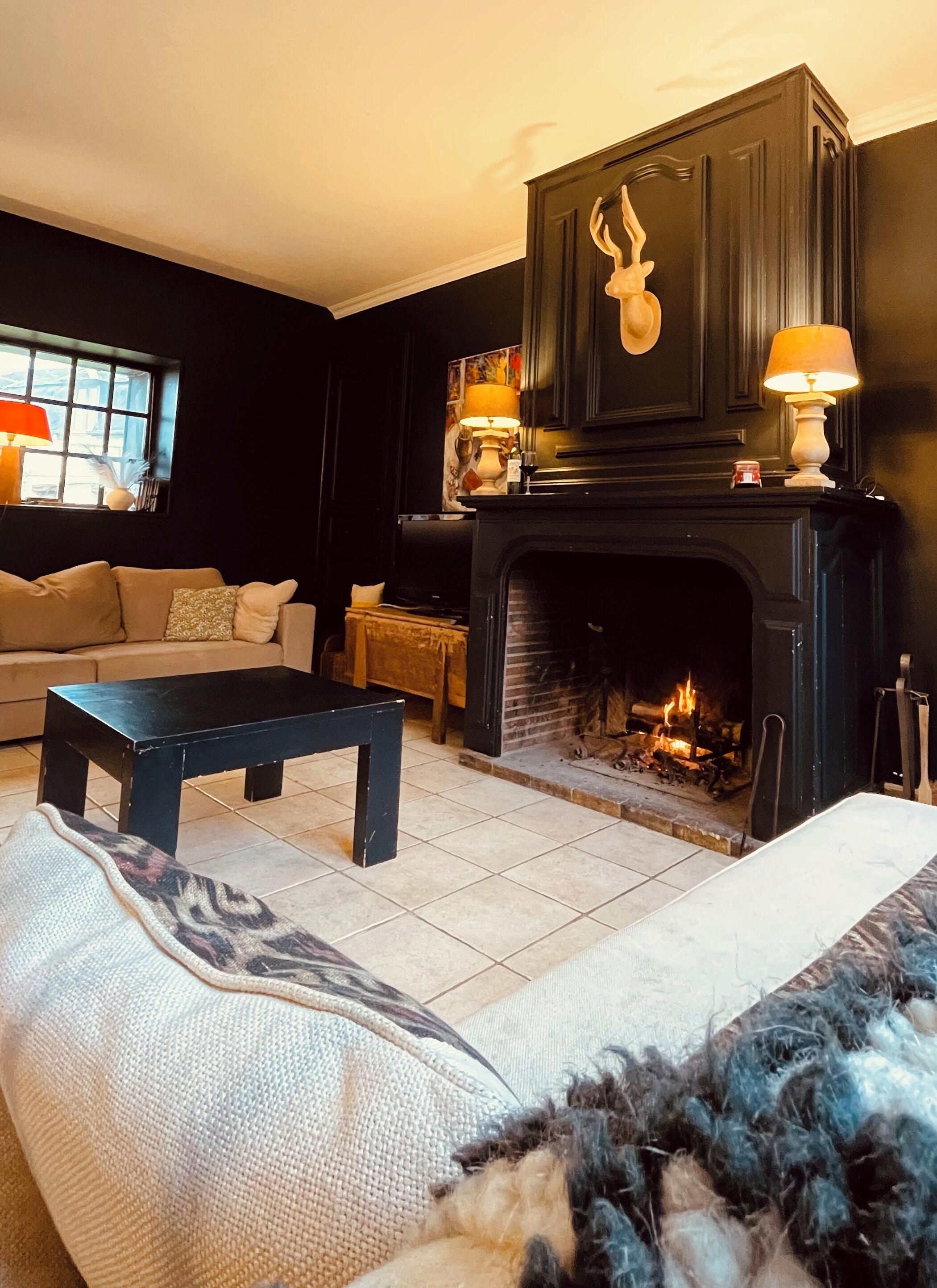 Televisión, chimenea y libros 