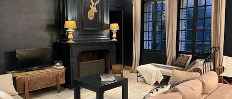 TV, fireplace, books