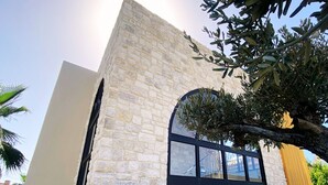 Un edificio con fachada de piedra, un amplio acceso de vidrio y un árbol en primer plano.