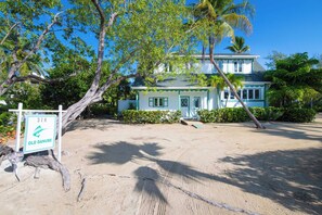 A two-story house with a sandy front yard, surrounded by trees and a sign indicating 'Old Danube'.