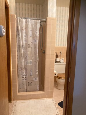 Shower, towels, soap, toilet paper