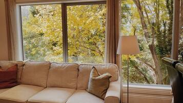 Smart TV, fireplace, DVD player, stereo