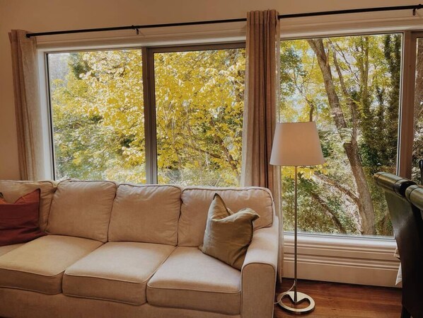 Smart TV, fireplace, DVD player, stereo