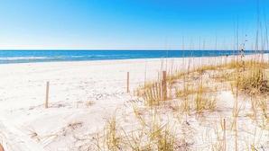 A beach with sand and sparse vegetation.