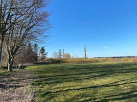 A grassy field with a clear blue sky, a leafless tree, and a distant building.