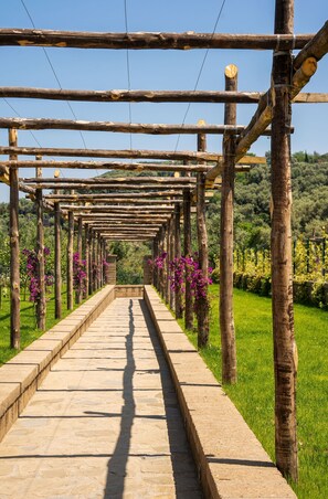 9 bedrooms - Villa Antea in Massa Lubrense (Massa Lubrense)