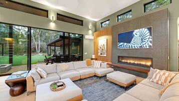 Télévision, cheminée, chaßne hi-fi