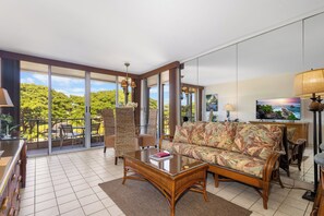 TV, DVD player, table tennis