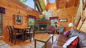 Télévision, cheminée, jeux vidéo, lecteur de DVD