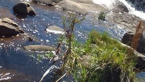 Een waterpartij met een waterval, omgeven door rotsen en groen.