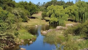 Een vredig landschap met een heldere lucht, een rustige rivier en weelderige begroeiing.