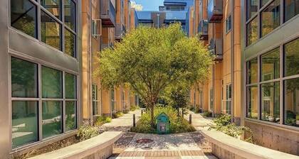 Landing | Incredible Studio, Gym, Courtyard