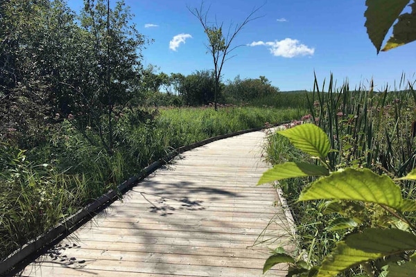 Overnatningsstedets område