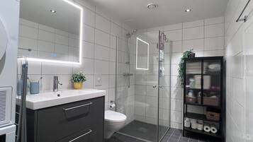 Hair dryer, towels, soap, toilet paper