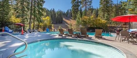 Une piscine entourée d’arbres, avec des chaises longues et des parasols.