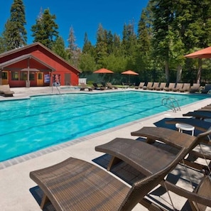 Pool - Alpine Escape Room: Min to Lake/Pool/HotTub/Sauna (Placer County)
