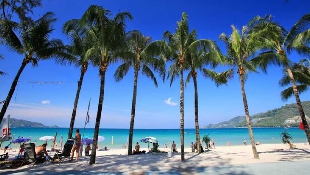 Una playa con palmeras y un cielo azul despejado.