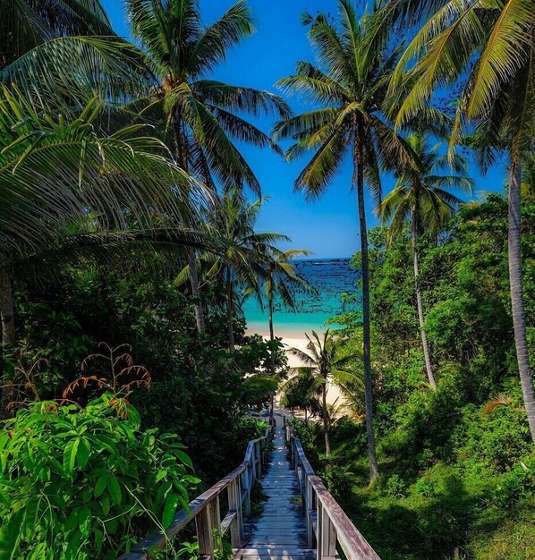 Utsikt mot strand/hav