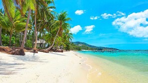 Property amenity - The Taksim Bangla Beach Hotel (Patong)