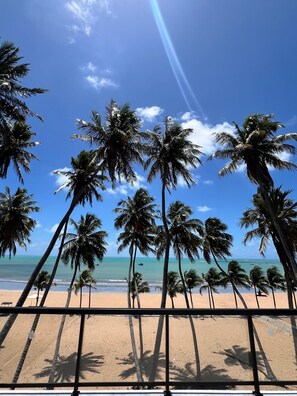 Una playa con palmeras y cielo despejado.